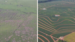 COP30 in Brazil: Five Innovative Solutions for Sustainable Agriculture and Global Food Security