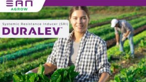 SAN Agrow Signs Distribution Agreement with Agrauxine for Cerevisane Technology and Launches Duralev