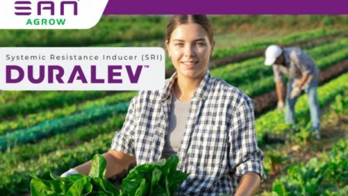 SAN Agrow Signs Distribution Agreement with Agrauxine for Cerevisane Technology and Launches Duralev