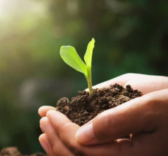 U.S. EPA Issues Proposed Registration Decision for Biotalys’ EVOCA Biofungicide