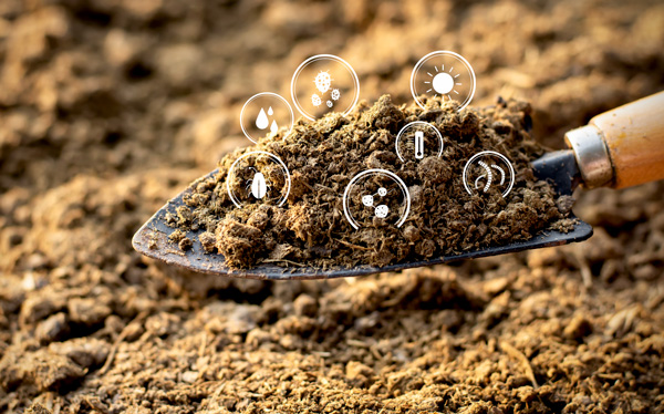 Ag Tech and Biologicals: Where Innovation Meets Acceleration