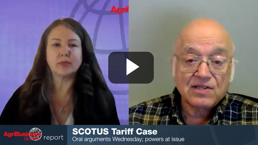 China Tariffs Shift: Rare Earths Pause, Soybean Deal and Supreme Court Stakes