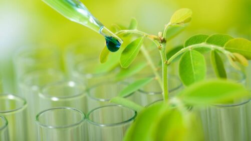 CRO Challenges in Latin America