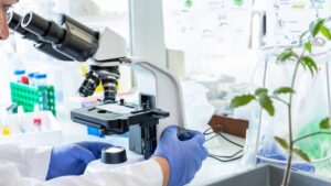 Accelerating the Next Generation of Micropeptide Crop Protection