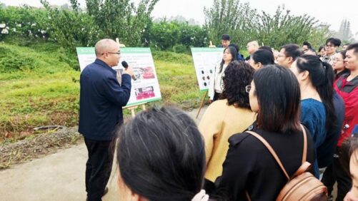 Advancing Green Citrus Production in China: Field-Based Training Highlights Newsun’s Biological Practices