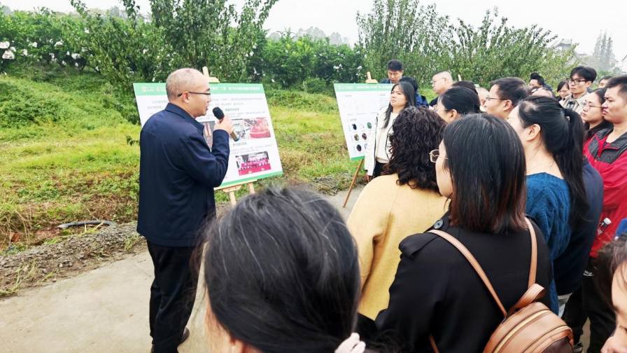 Advancing Green Citrus Production in China: Field-Based Training Highlights Newsun’s Biological Practices – AgriBusiness Global