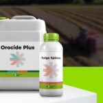 Rovensa Next Launches Two New Biosolutions in Europe