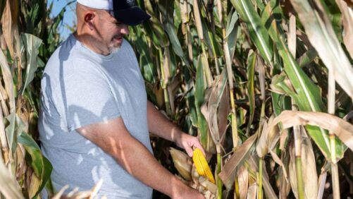 BioLumic Expands Light-Activated Seed Trait Platform to South America