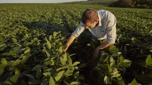 BASF Agricultural Solutions to Acquire Biological Insect Control Group AgBiTech