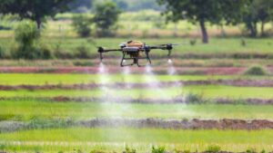 Executive Outlook: North America and Southeast Asia — How Two Regions Are Navigating Agricultural Transformation