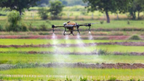 Executive Outlook: North America and Southeast Asia — How Two Regions Are Navigating Agricultural Transformation