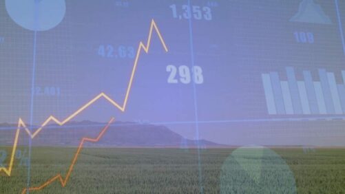 Crop Protection Market Development: Expectations for 2026