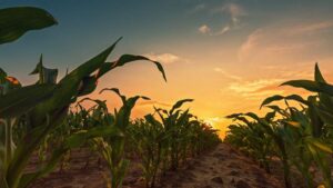 Global Perspectives: International and African Association Leaders Share 2026 Expectations