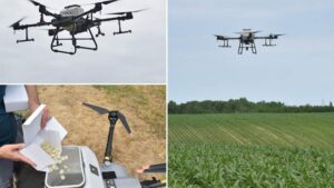 Hungary Leads Europe in Drone-Based Biocontrol Crop Protection