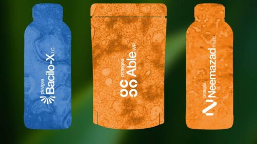 Veganic Accelerates Its Expansion in Mexico with Three High-Impact Biosolutions