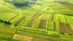 Biologicals Regulations: The Widening Global Rift