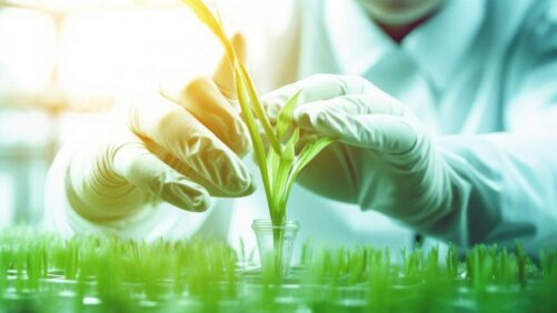 EU and U.S. CROs in 2025: Adapting to Evolving Product Testing Protocols
