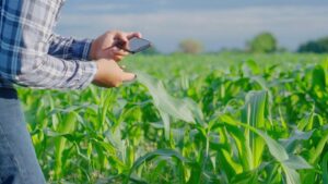 Global Outlook: The Future of Agchem