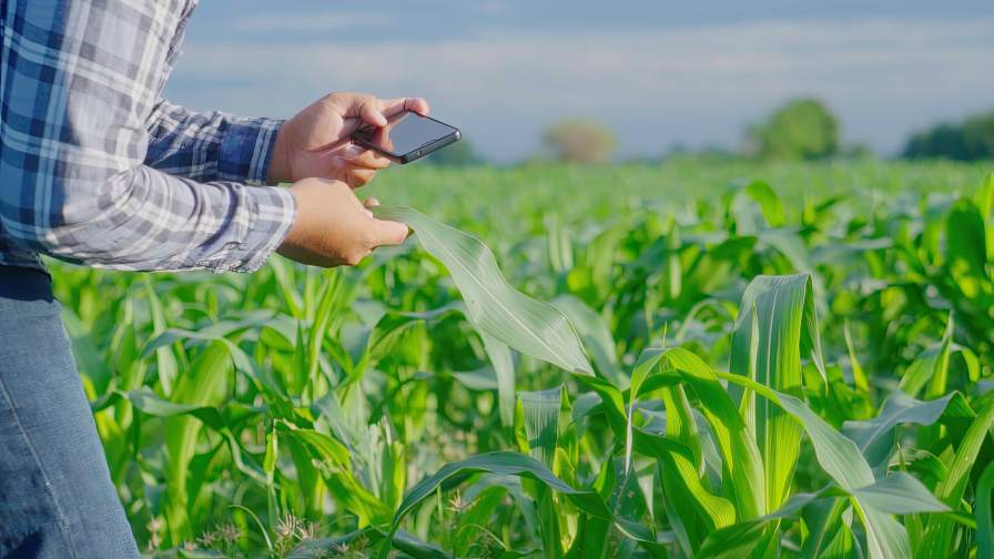 Scaling Biologicals: Innovation, Cost, and Regulation Will Decide the Winners