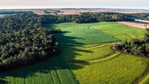 Doing Business in Latin America in 2024