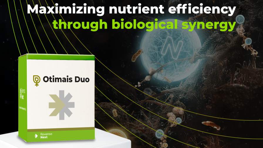 Rovensa Next Launches New Inoculant for Maximizing Nutrient Efficiency in Brazil