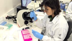 Why Plant Health Is Becoming Essential in Latin American Agriculture