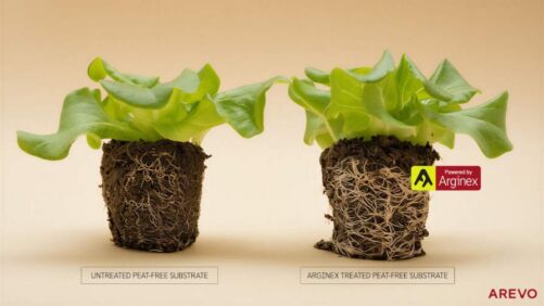 Arevo Warns Nitrogen Loss Threatens Peat-Free Transition, Introduces Arginex as Solution for Growers and Substrate Makers