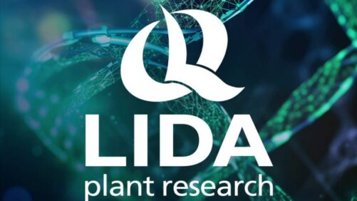 LIDA Plant Research Commemorates Obtaining Its International Patent for the Synergistic Mixture of Plant Defense Response Inducers