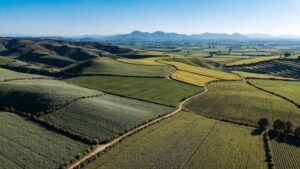 Biologicals: Export Drivers, Climate Challenges, and Long-Term Growth Potential