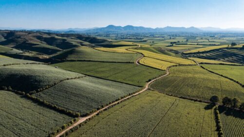 Biologicals: Export Drivers, Climate Challenges, and Long-Term Growth Potential