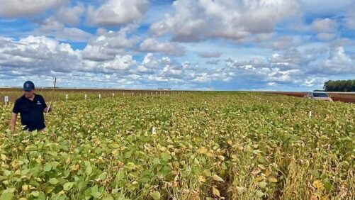 Micropep Files First Regulatory Submissions for Novel Peptide Biofungicide with a New Mode of Action