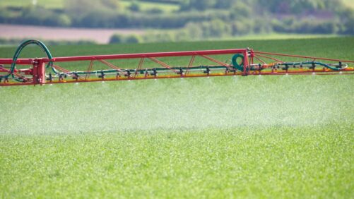 Global Adjuvant Regulations: Strategic Outlook for 2026 and Beyond