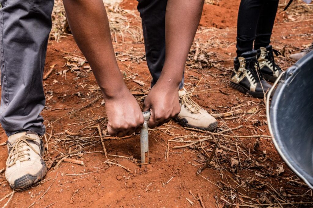 African CROs: Data, Biologicals, and Testing Grounds