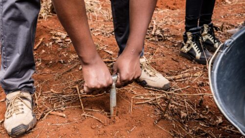 African CROs: Data, Biologicals, and Testing Grounds