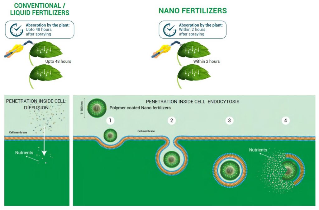 Conventional/Liquid Fertilizers and Nano Fertilizers