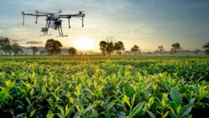 Adjuvant Innovations: The Next Generation of Smarter, More Efficient Spray Solutions