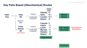 Key Palm Based Routes