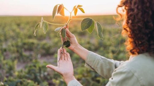 A Dynamic Duo: Adjuvants and Biologicals