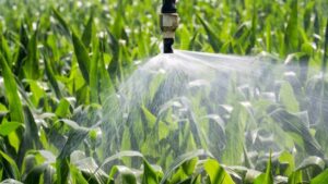 WACKER to Showcase Agro Adjuvant Portfolio to Support Modern Crop Protection at AgriBusiness Global Trade Summit