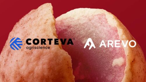 Corteva and Arevo Partner on Soy Crop Nutrition