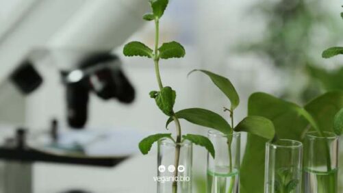 Veganic Unveils a New Approach to Crop Resilience with Plant Primers