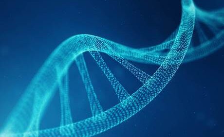 What’s Trending in Microbials: From Niche Biologicals to Mainstream Crop Inputs