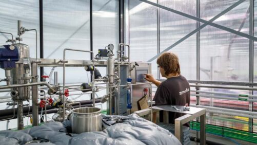 EU: Zymofix to Build Flagship Microbial Manufacturing Plant in Belgium to Take Solid-State Fermentation to Industrial Scale