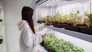 In Pursuit of Excellence: How Chengdu Newsun Is Creating a Future Market