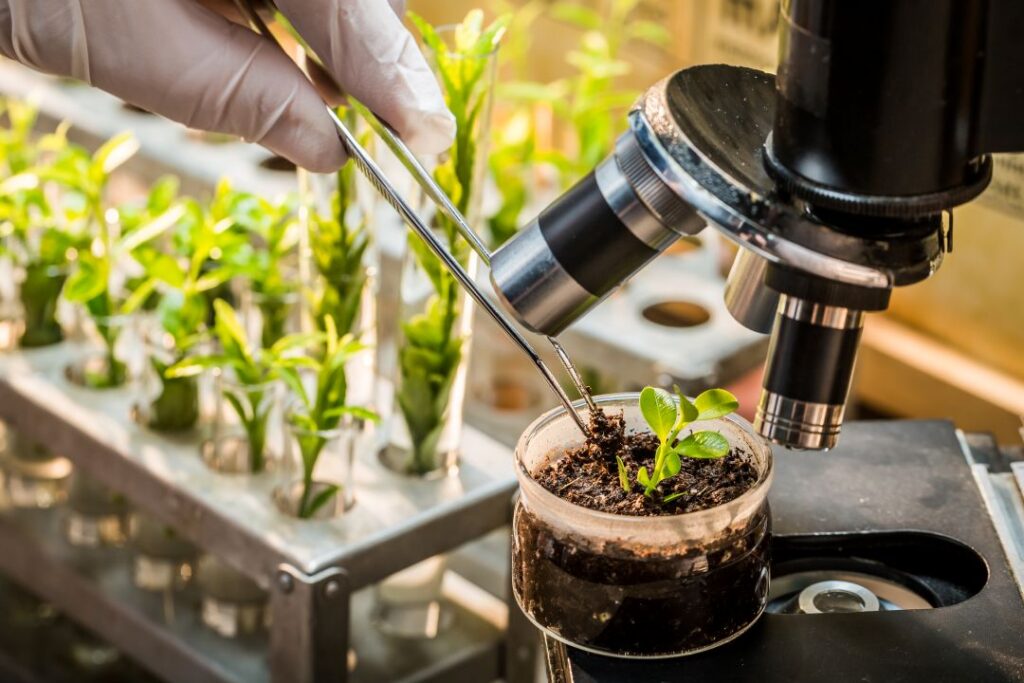6 Key Considerations for a Biological Product’s Journey from R&D to Market