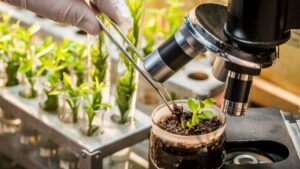 6 Key Considerations for a Biological Product’s Journey from R&D to Market