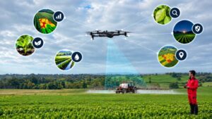 Beyond Crop Scouting: How AI-Powered Drones Could Reshape Precision Agriculture