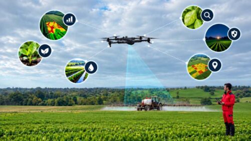 Beyond Crop Scouting: How AI-Powered Drones Could Reshape Precision Agriculture