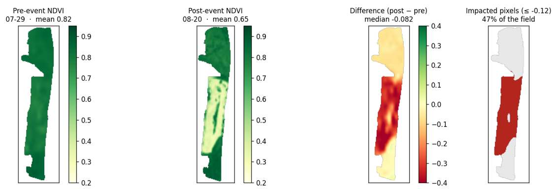 Image shows a partial crop failure due to partial flooding of the field due to bad drainage and excess rain. Source: EarthDaily analysis