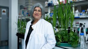 SOLASTA Bio Hits U.S. Regulatory Milestone As Field Demo Beats Decade-High Whitefly Surge